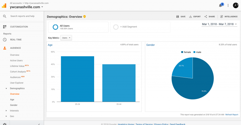 Google-Analytics-Expert-Demograph