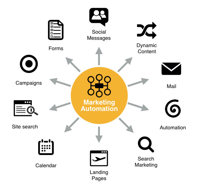 Optimize Your Digital Marketing Process