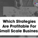 Strategies - Profitable For Small Scale Business