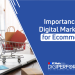 Importance of Digital Marketing in Ecommerce