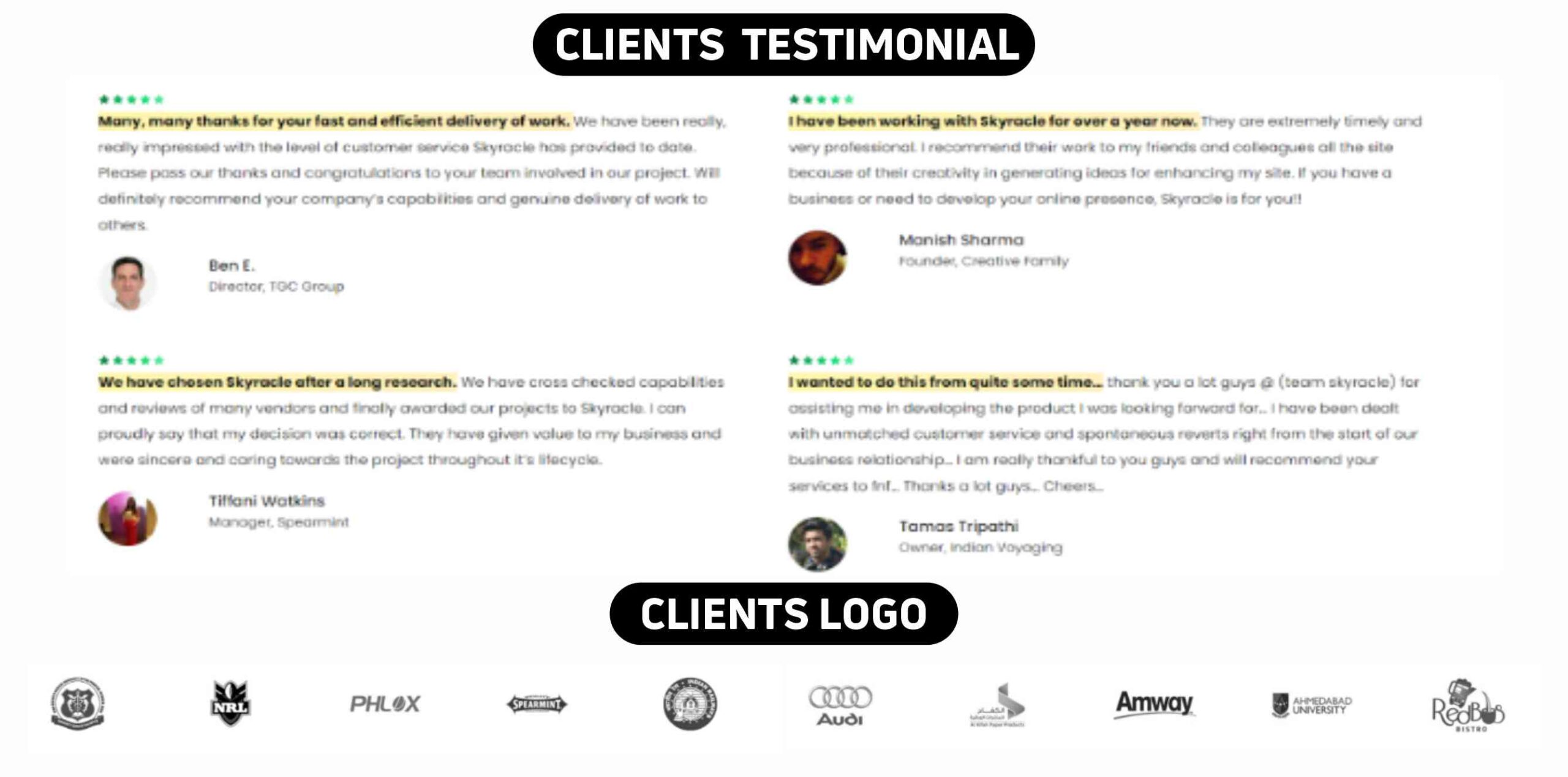 Skyracle Technologies Clients Testimonials & Logos 